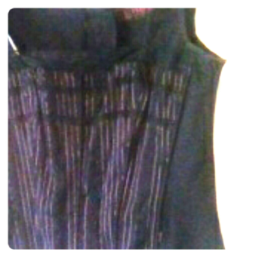 Tripp NYC Pink Pinstripe Corset